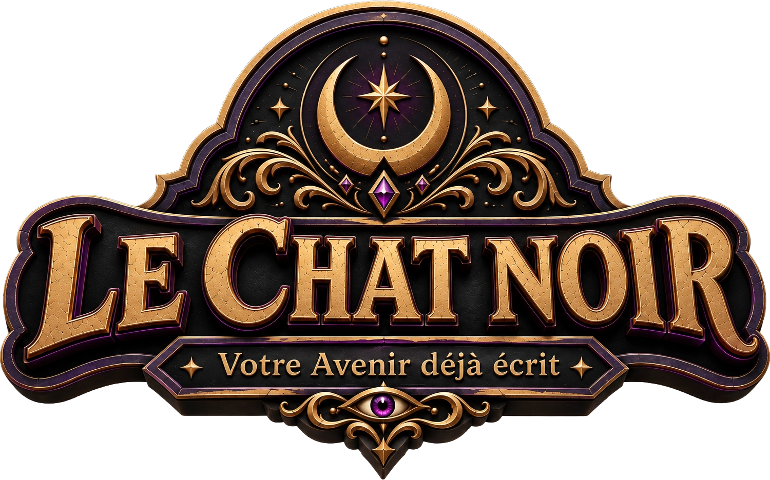 占いの相談室にいるLe Chat Noirの肖像